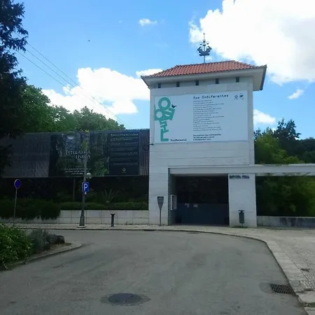 Alex Apartamento