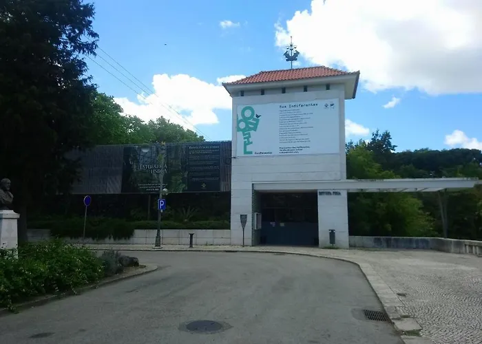 Alex Διαμέρισμα