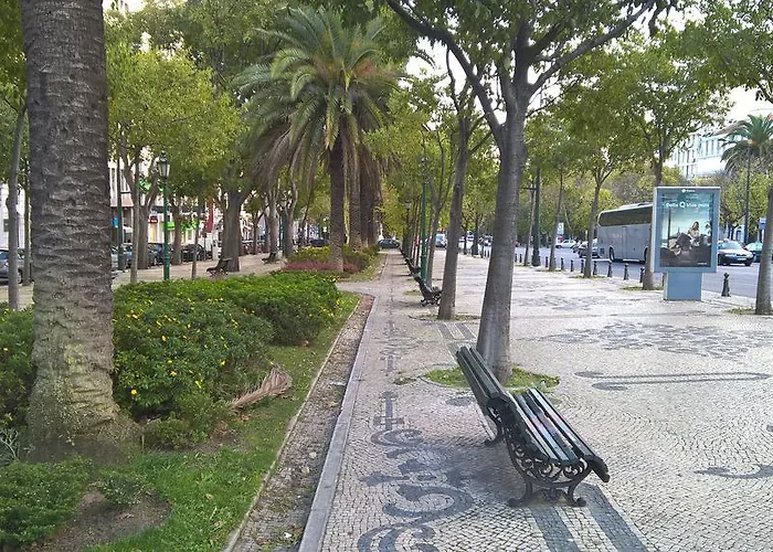 Alex Apartman *